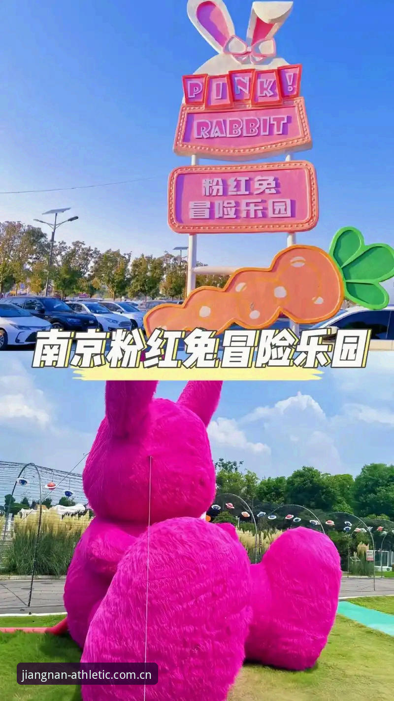 江南JNSPORTS正版最新版 江南JNSPORTS正版最新版安装与使用教程:从下载到畅玩的完整指南
